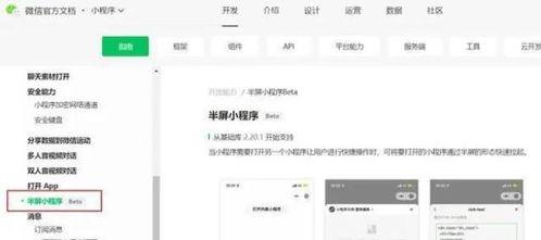 一线最新爆料小程序下载,小程序下载背后的秘密与趋势