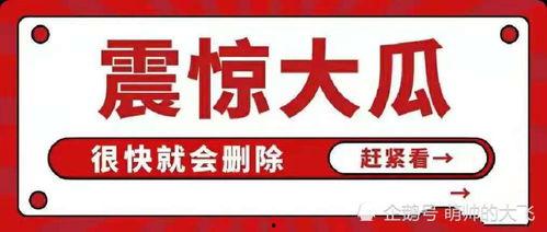 娱乐圈八卦文件吃瓜